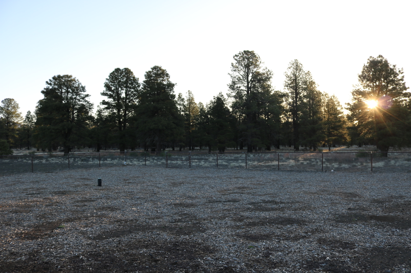 I keep imagining zombies emerging from these woods.